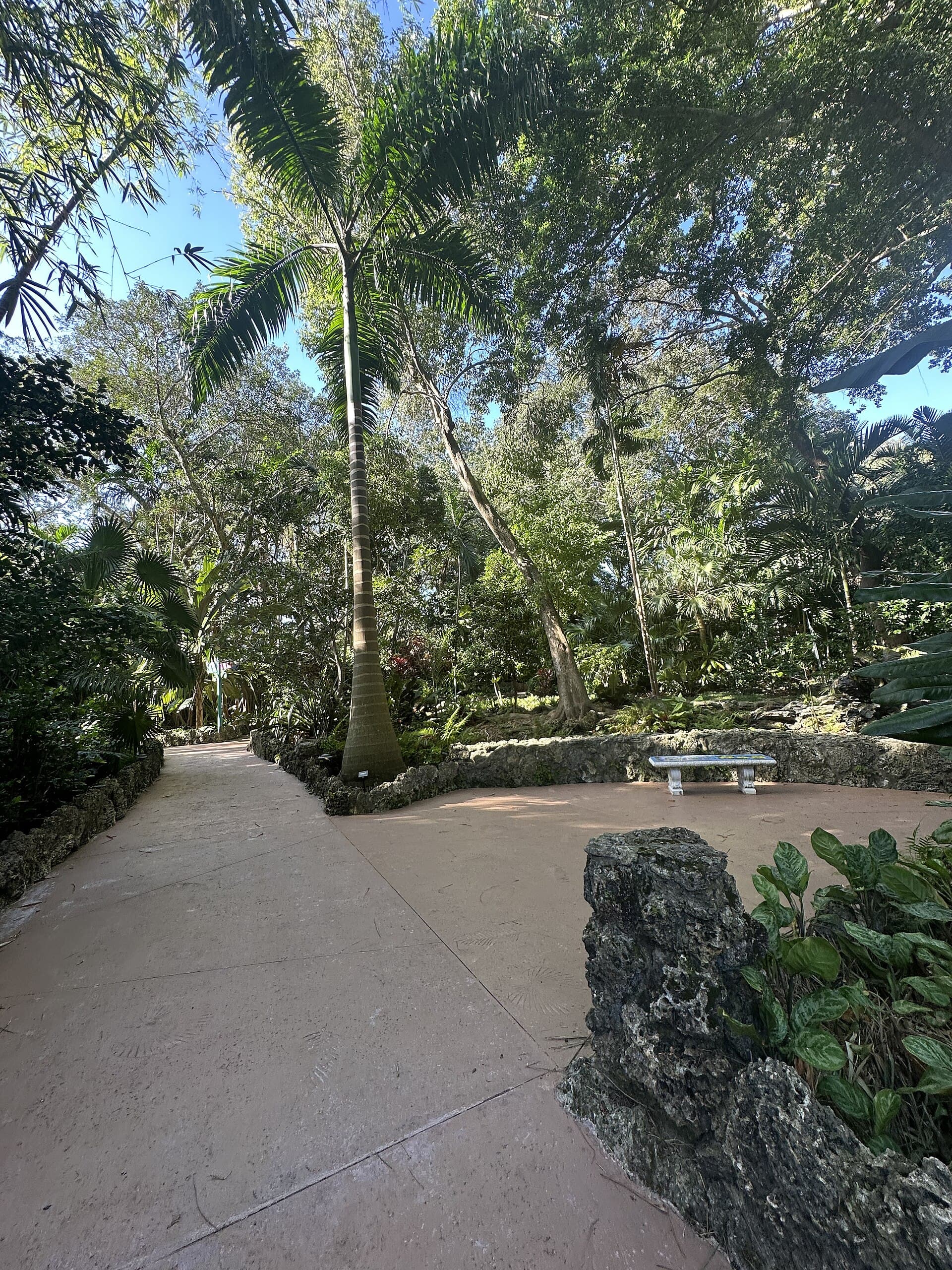 Lush path at Pinecrest Gardens in Pinecrest Florida